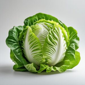 Eisbergsalat Samen 'Iceberg' | Der knackige & hitzetolerante Sommer-Salat