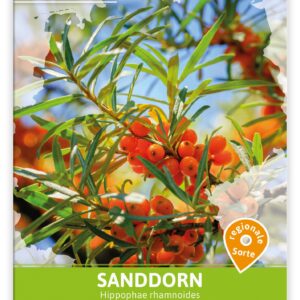 2 x Sanddorn Samen 'Ostsee' | Die Vitamin-Bombe für deinen Garten