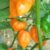 Bio Chili Samen ‚Scotch Bonnet Orange‘ | Der fruchtige Star der Karibik