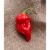 25 Chilisamen ‚Red Datil‘ | Legendäre Heirloom-Chili aus Florida