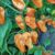 Bio Chilisamen ‚Habanero Naranja‘ | Der fruchtige Klassiker